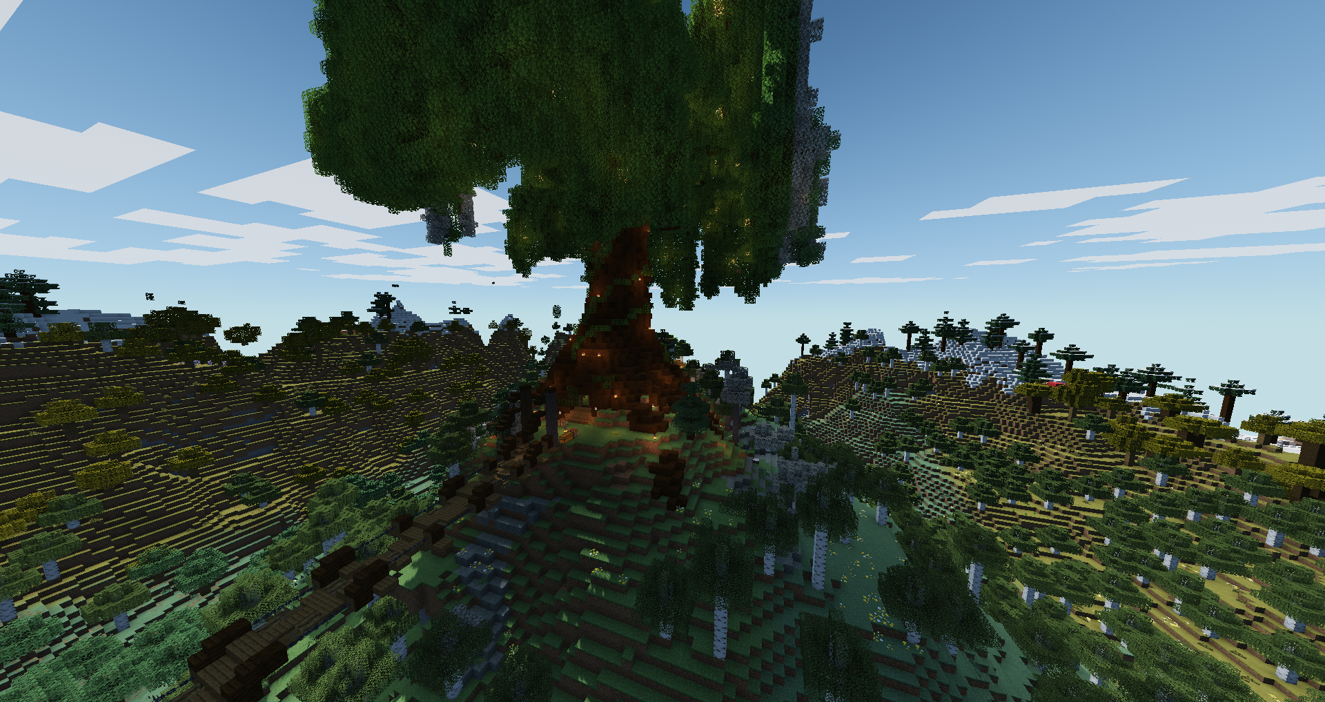 Large tree above a forest settlement